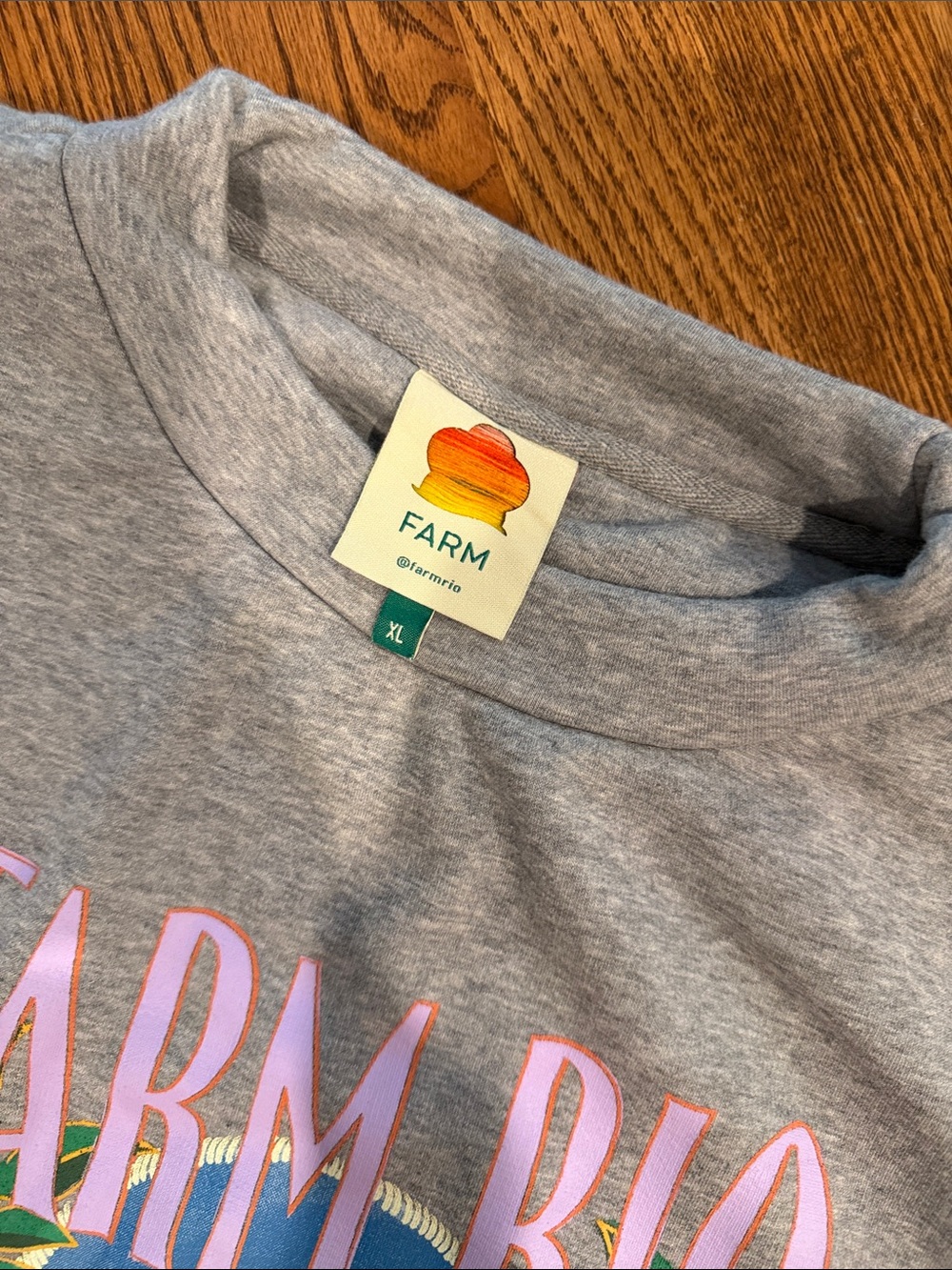 Farm Rio Heather extremely plus Grey Sweatshirt with Colorful Bird Graphic - Picture 2 of 3
